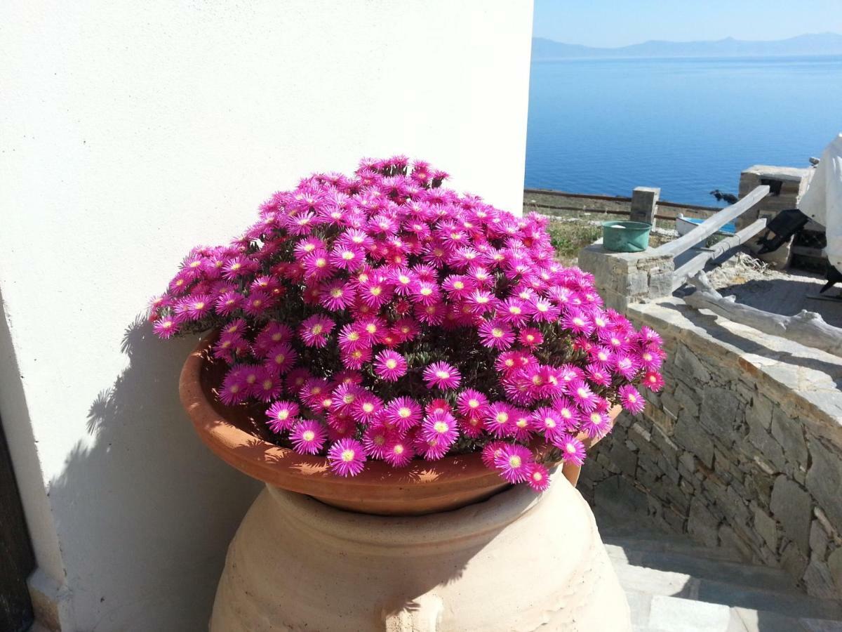 Aegean View - Seaside Apartment In Syros أزوليمنوس المظهر الخارجي الصورة